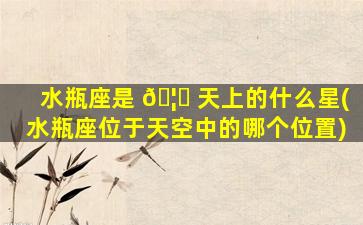水瓶座是 🦍 天上的什么星(水瓶座位于天空中的哪个位置)